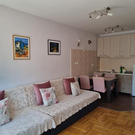 Studio Apartman Zvezdana Noc Vrnjačka Banja Exteriör bild